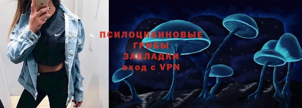 прущие грибы Алексин