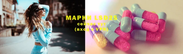 прущие грибы Алексин
