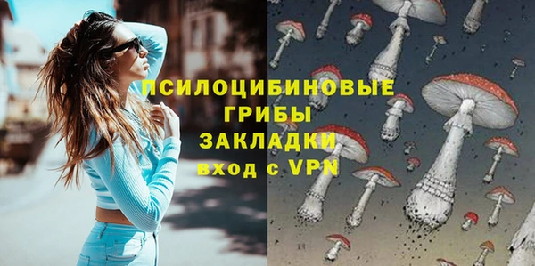 прущие грибы Алексин