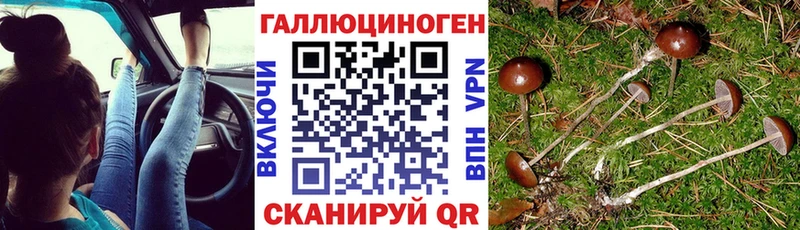Псилоцибиновые грибы Cubensis  мориарти как зайти  Анадырь  blacksprut  